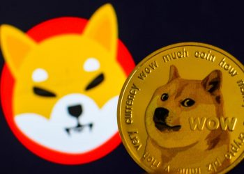Shiba Inu or Dogecoin which one is better