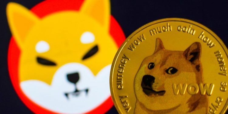 Shiba Inu or Dogecoin which one is better