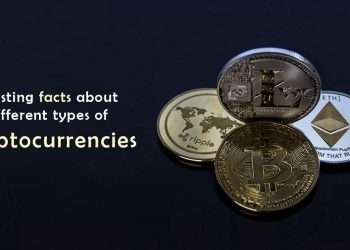 Fascinating insights about the various types of cryptocurrencies